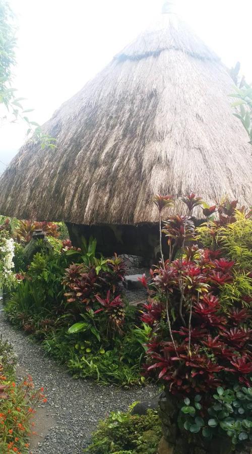 Ddd Heritage Inn Banaue Zewnętrze zdjęcie
